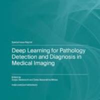 Deep Learning for Pathology Detection and Diagnosis in Medical Imaging